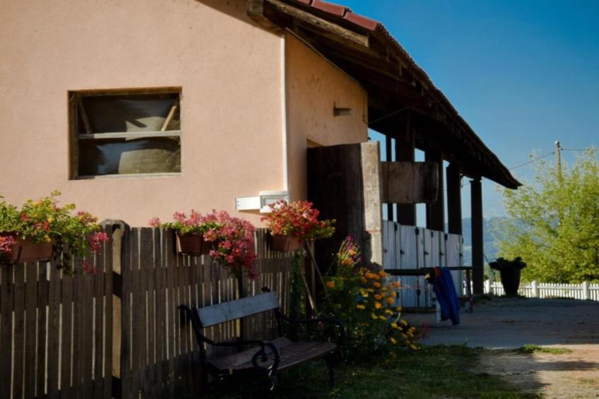 Zevnik Quiet Retreat with Stunning Views and Equestrian Activities - One Bedroom Apartment - foto 24