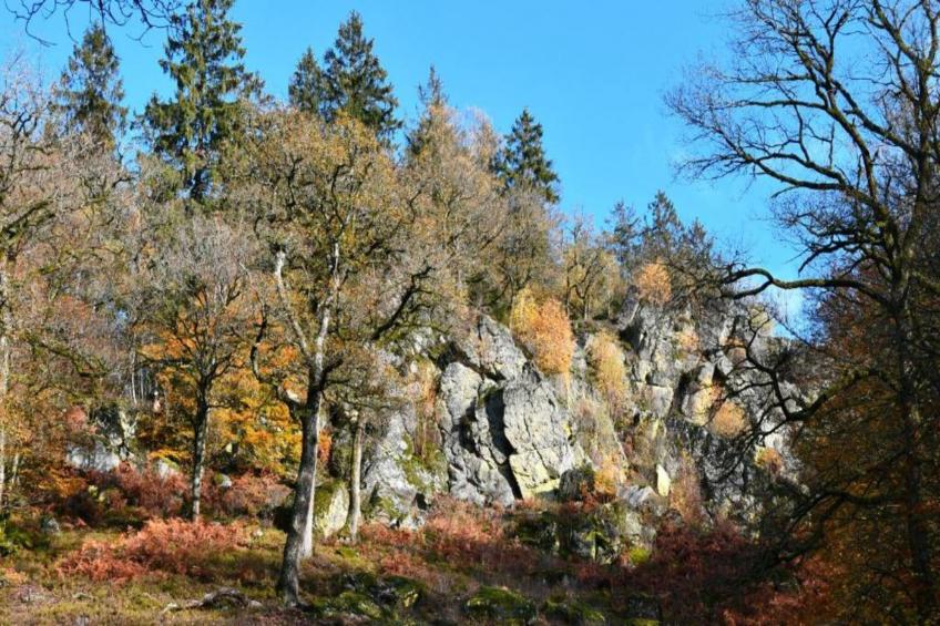 Le Pré en Bulles - foto 26