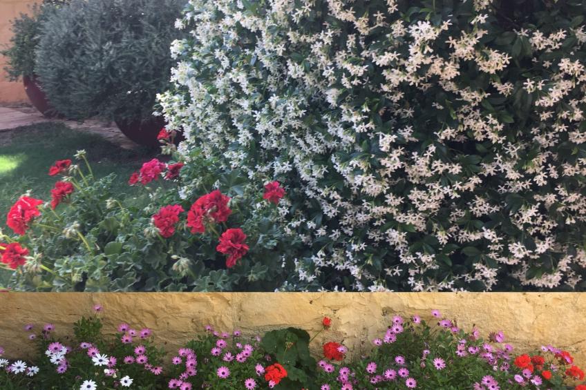 Villa Dimi Nähe Sandstrand Kalathas - foto 73