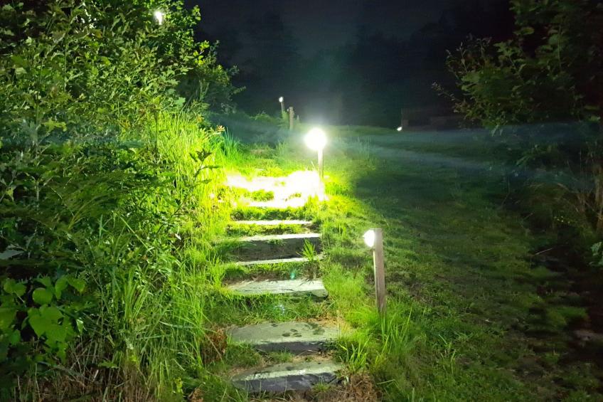 Schwedisches Glück, zwischen Wäldern und einem See - foto 30