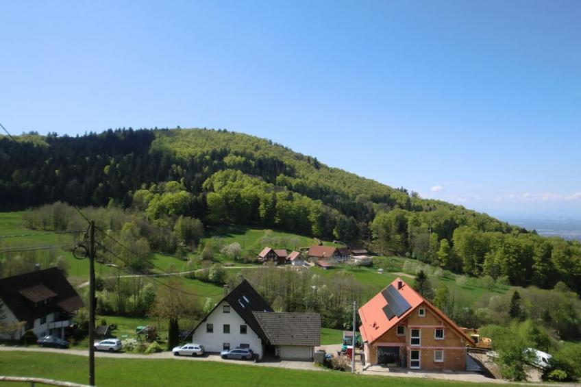 797337 - foto 29