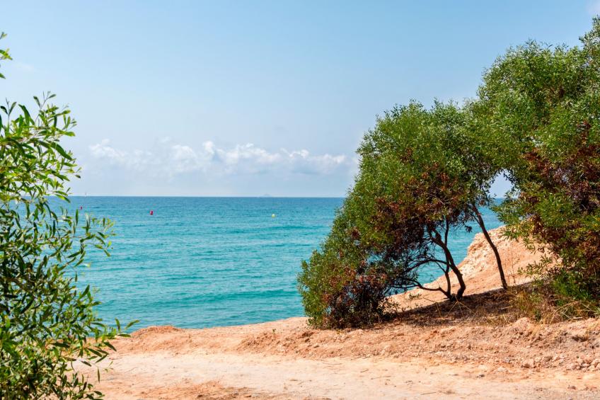 Jardines de Toledo - foto 21