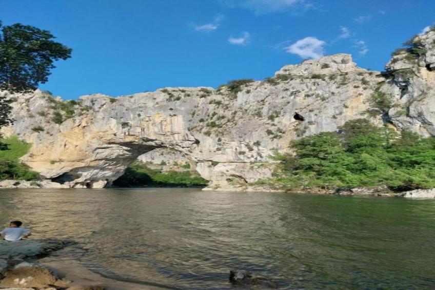 Coccinelles - foto 26