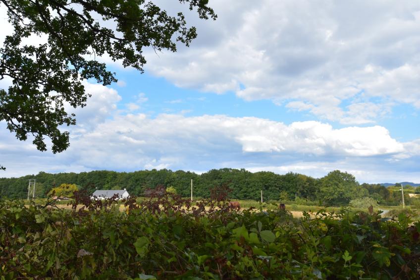 Maison Ferdinand - foto 31