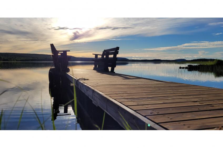 Koivulahden reinola - foto 3