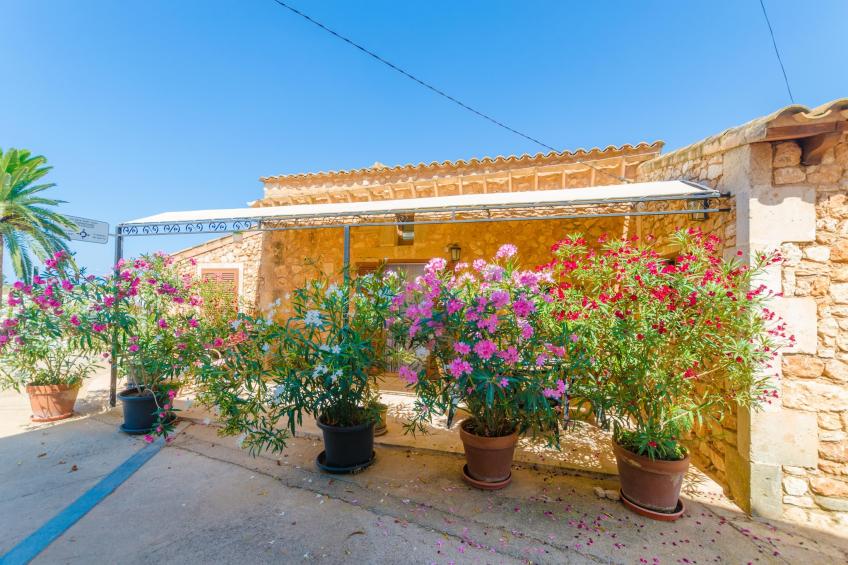 Sa Caseta De Ses Vaques.son Covas - foto 27