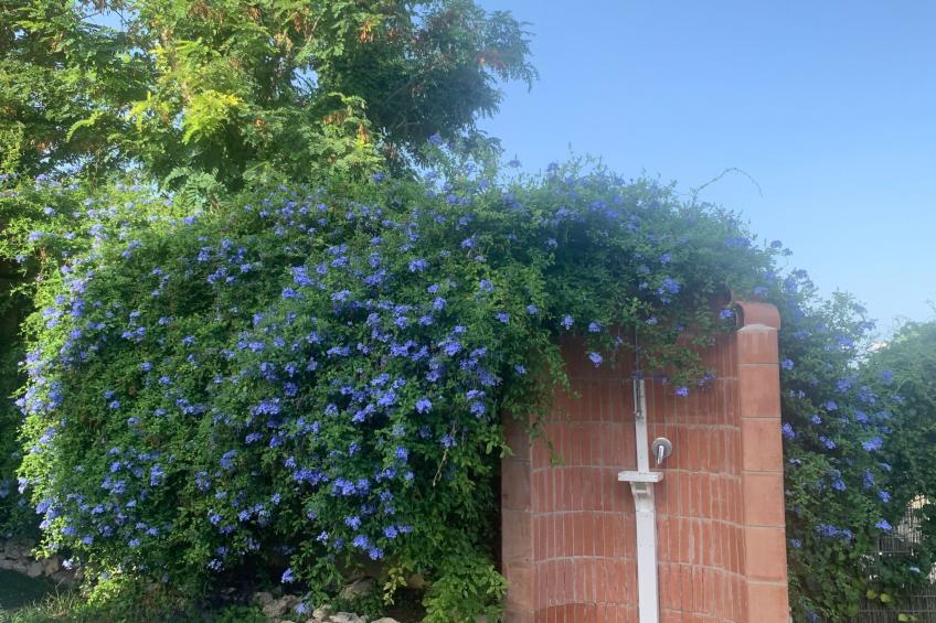 Ferienvilla mit Wasserblick - foto 4