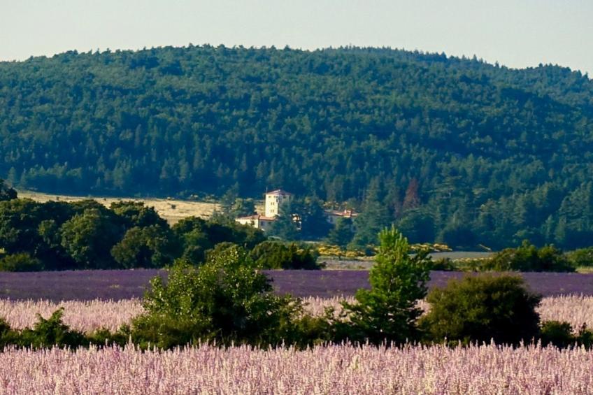 Genießen Sie die Ruhe und den Frieden der Provence - foto 16