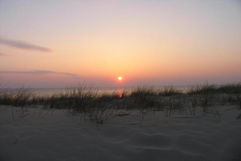 Kustpark Egmond aan Zee - foto 37