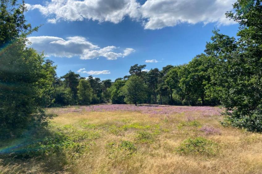 Resort De Heihorsten 3 - foto 28