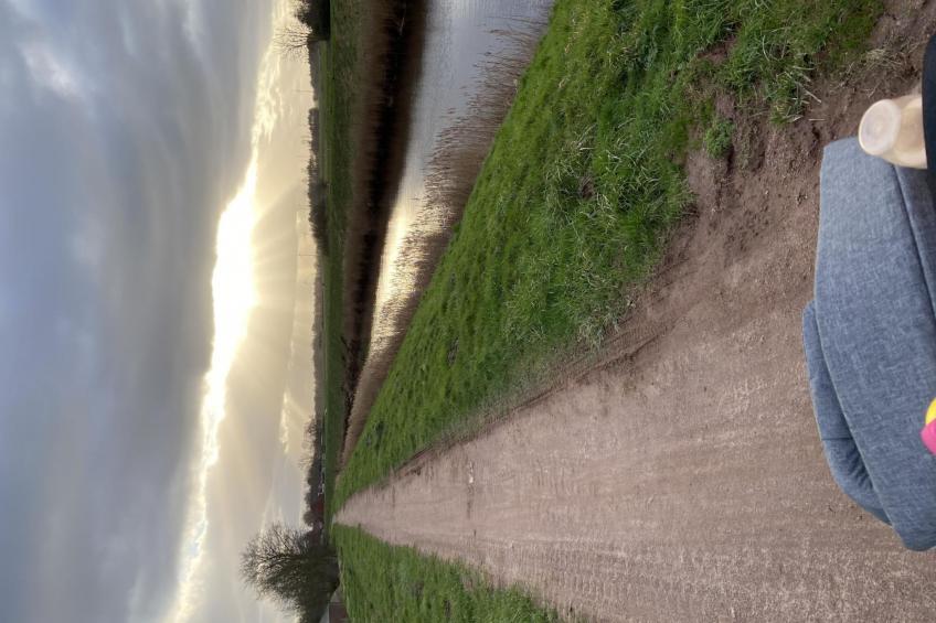 Leschin - Ferienwohnung Herzmuschel - foto 9