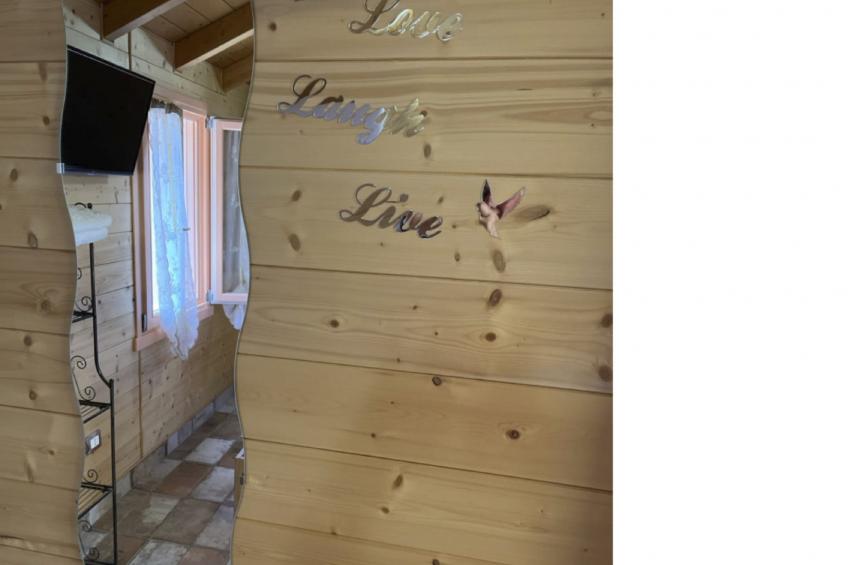 'Vindemia la salmon - foto 13