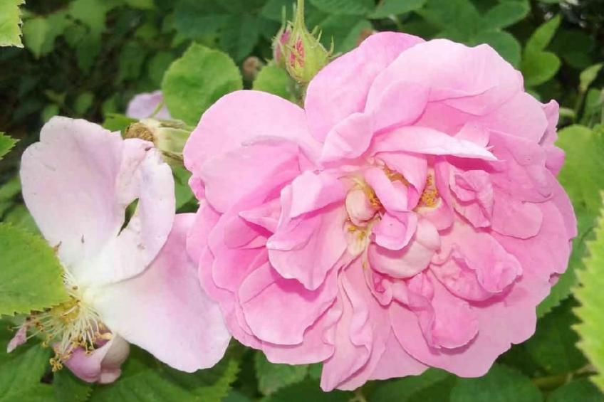 Locations-06 - Die Eugenie - foto 23