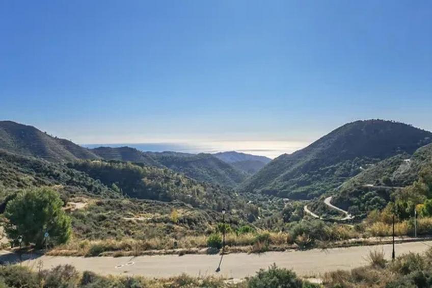 El Bosque de la Mairena - foto 28