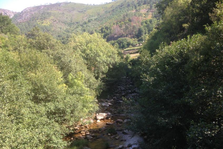 "Großmutters Häuschen" mit überdachter Terrasse - foto 38