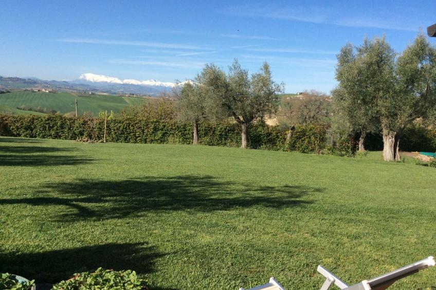 La Villa degli Ulivi - Landhaus mit privatem Pool - foto 5