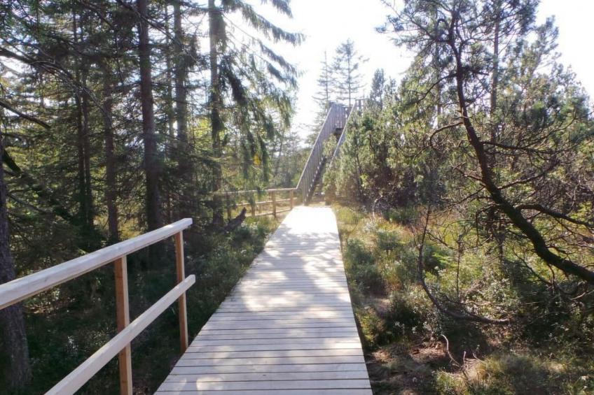 Fewo "Am Skihang OG" - foto 21