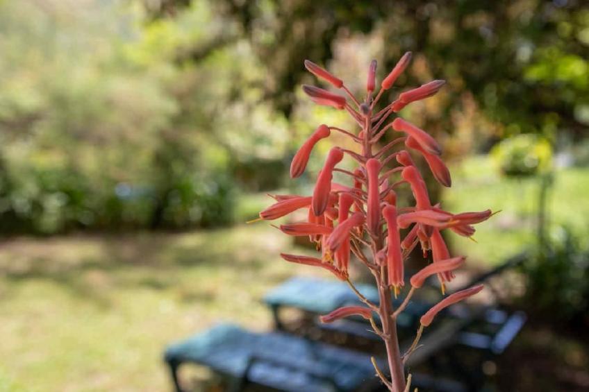 Appartement in Le Bar-Sur-Loup mit Eigenem Garten - foto 15