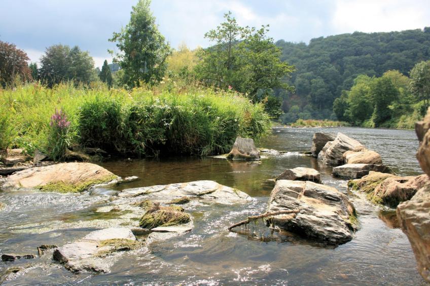 Au Coeur d'Alle - Triple Room with Bathroom - foto 25