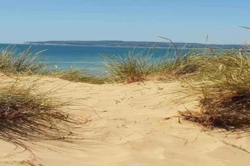 Rainbow Petty - foto 29