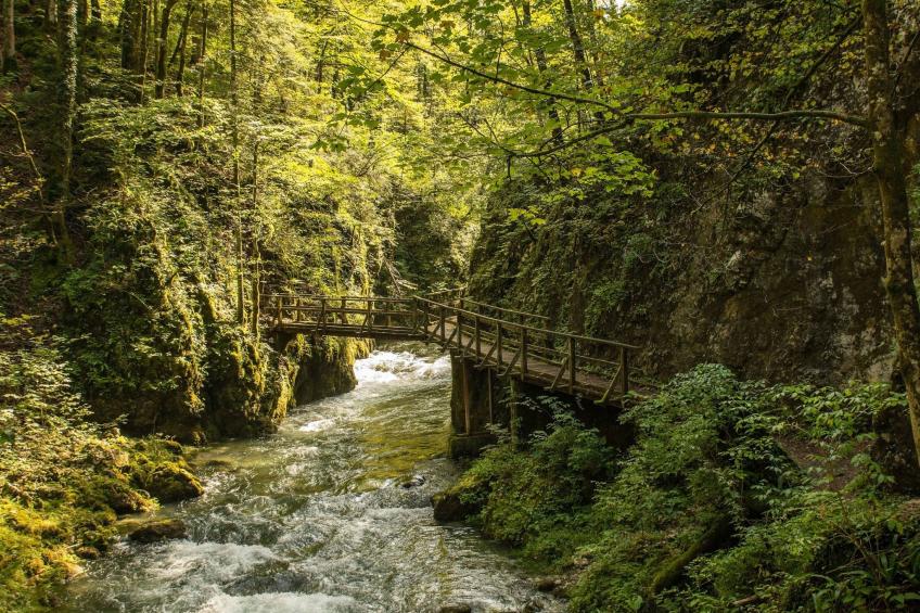 House Veles - foto 11