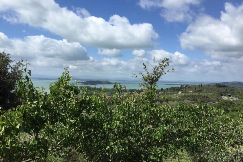 Renovierte Wohnung - foto 28