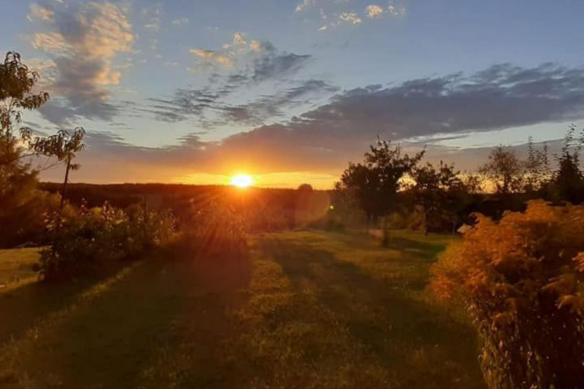 Ganzes Haus zur alleinigen Nutzung im Herzen des Zielonka-Waldes - foto 24