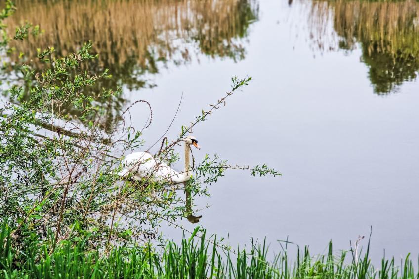 Tiny Haus Eckert - foto 24