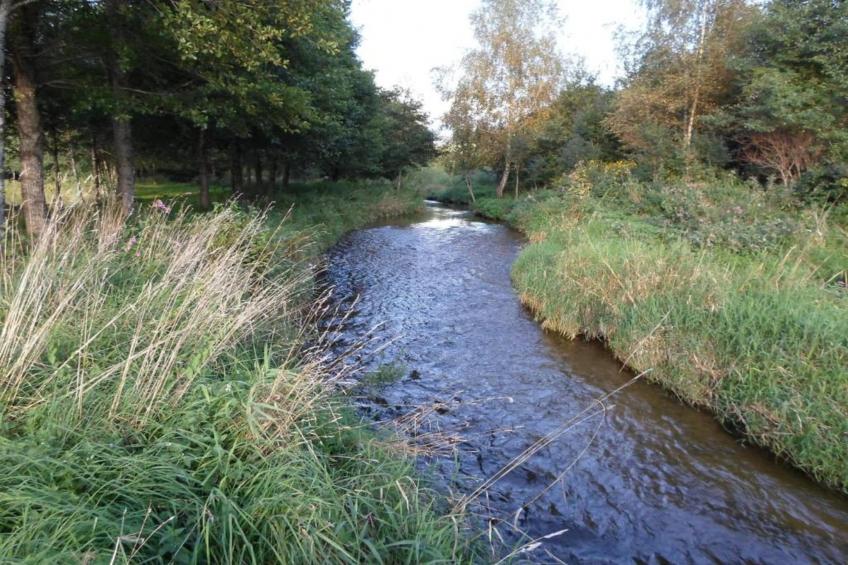 Domaine Des Messires 2 - foto 13