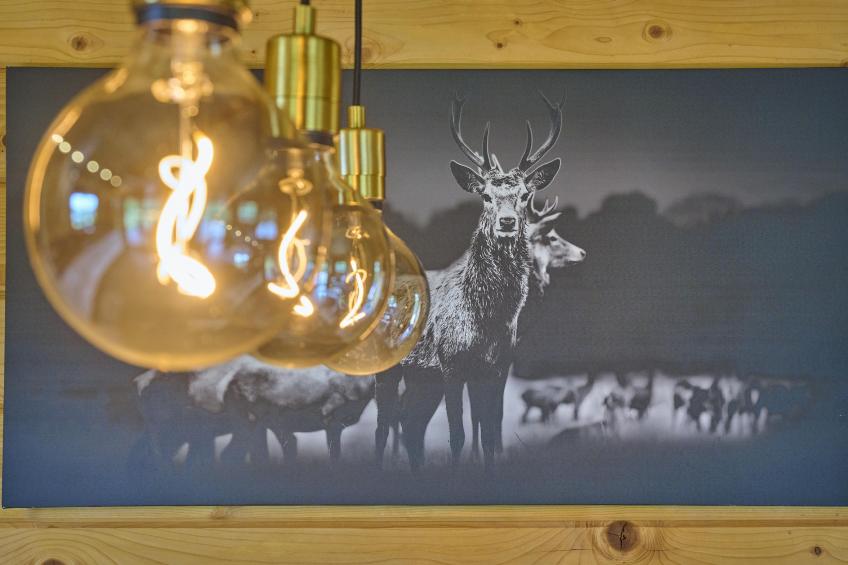 Bie Leentje op de Wei - foto 35