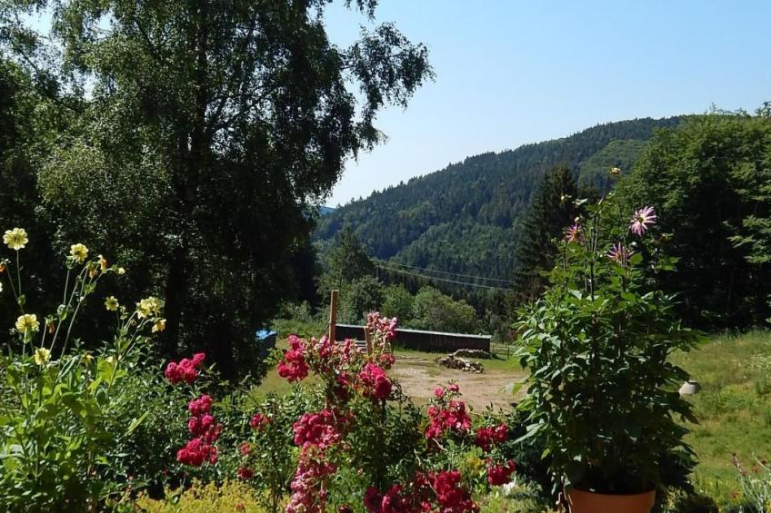 Haus Wiesental - foto 9