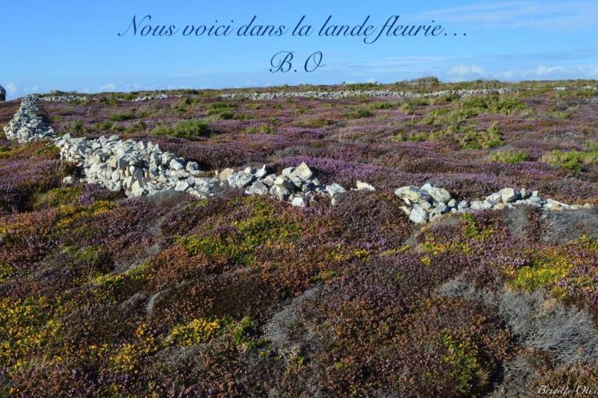 Ferienhaus - foto 30