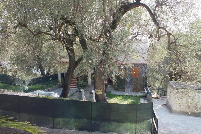 Appartement in Pisciotta mit Grill - foto 53