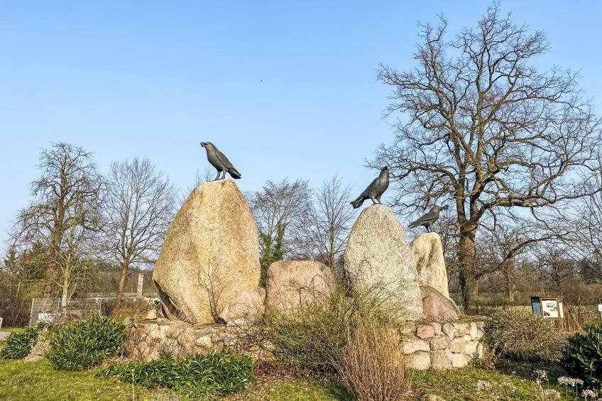 Meyer - foto 22