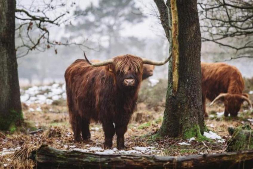 Bospark Lunsbergen - foto 26