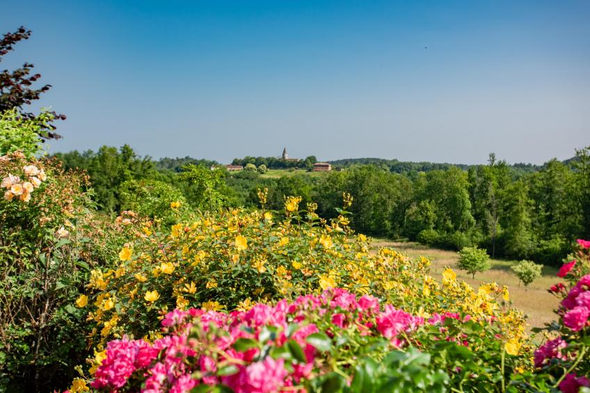 Maison des Yourtes - foto 14