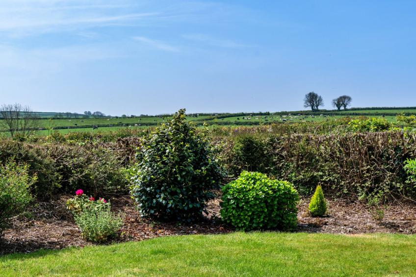 Cutkieve Farm Cottage - foto 4