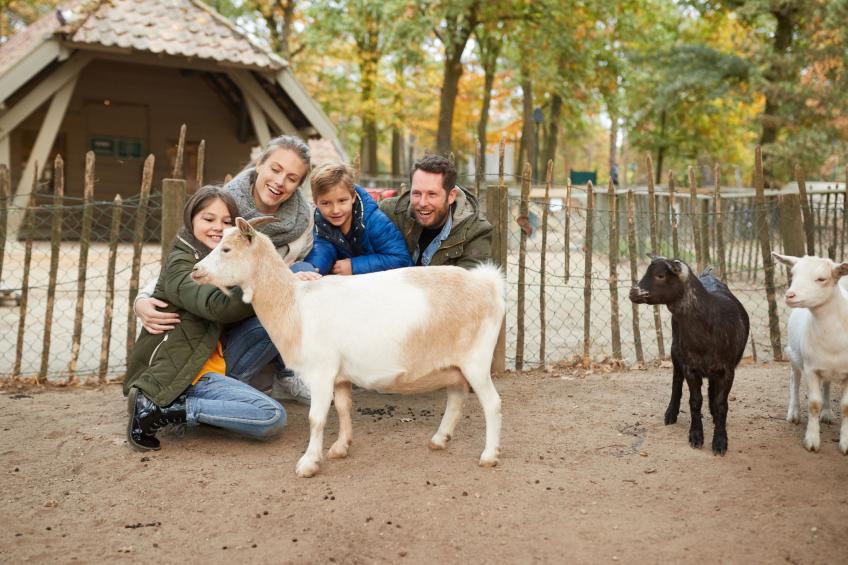 Center Parcs Het Heijderbos - foto 13