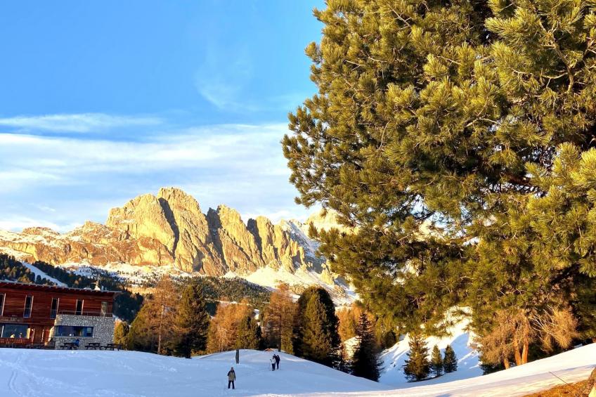 Cesa Vedla DOLOMITES - foto 47