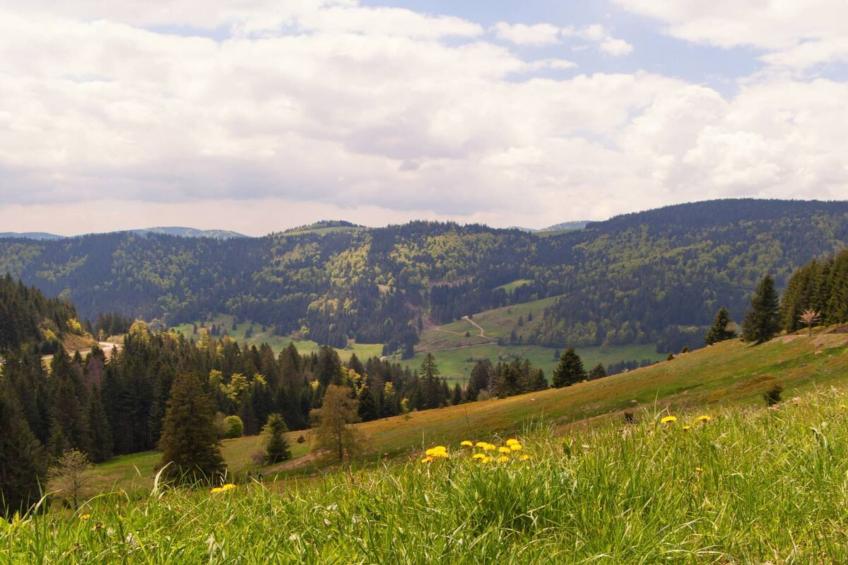 Am Stulzenhof - foto 27