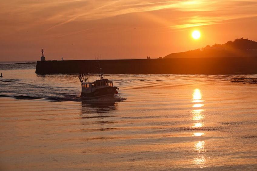 Maison à Givrand - foto 33