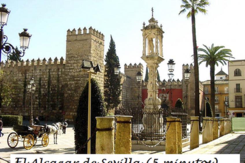 Wohnung mit Terrasse, Nähe Kathedrale von Sevilla - foto 18