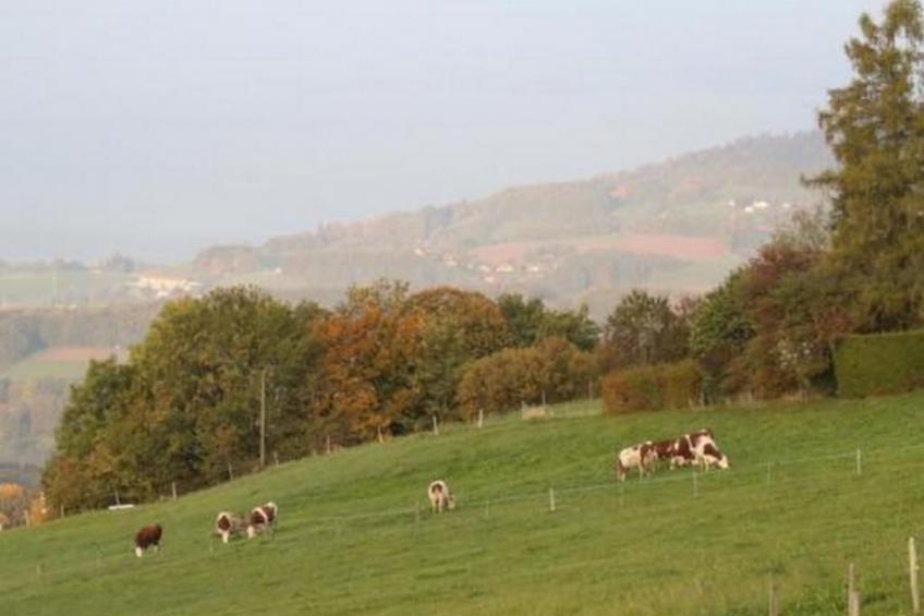 Studio im Bauernhaus (4 Pers.) - foto 7