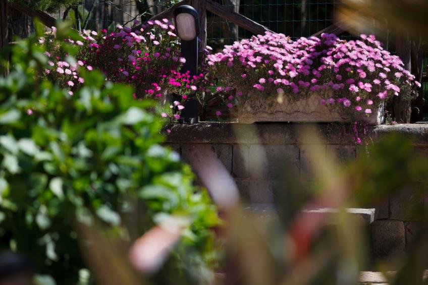 Panoramavilla mit Pool - foto 31