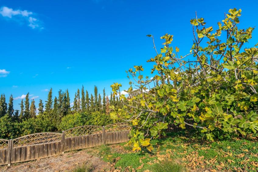 Ferienvilla auf einem privaten und sicheren Grundstück - foto 36