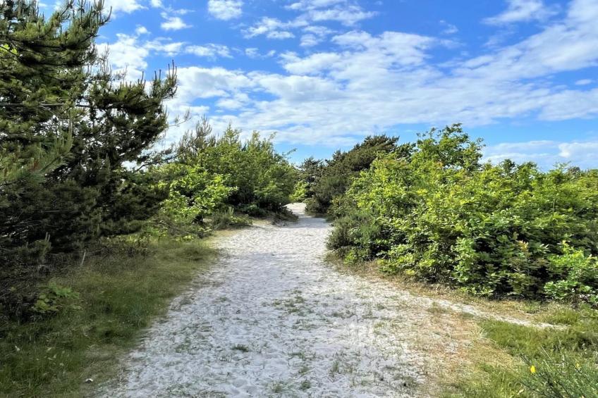 "Efka" - 175m from the sea in Sealand - foto 3