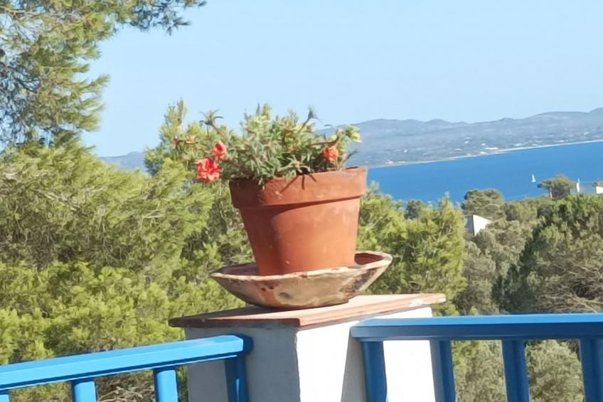 'La casa dei Nonni - foto 11