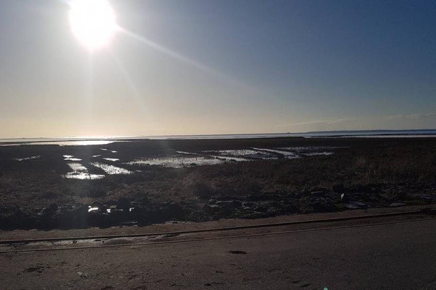 Ferienhaus Langeneß - foto 33