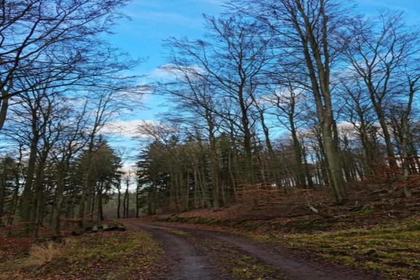 Bungalowpark Rien van den Broeke Village - foto 14