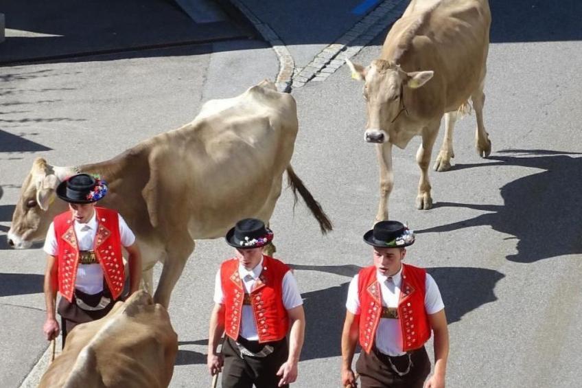 Alpen-Paradies Edelweiss Urnäsch - foto 2